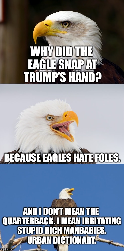 Eagles hate Foles | WHY DID THE EAGLE SNAP AT TRUMP’S HAND? BECAUSE EAGLES HATE FOLES. AND I DON’T MEAN THE QUARTERBACK. I MEAN IRRITATING STUPID RICH MANBABIES. URBAN DICTIONARY. | image tagged in bad pun eagle,memes,philadelphia eagles,donald trump,attack,hand | made w/ Imgflip meme maker
