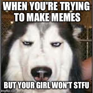 original pissed off husky | WHEN YOU'RE TRYING TO MAKE MEMES; BUT YOUR GIRL WON'T STFU | image tagged in original pissed off husky | made w/ Imgflip meme maker