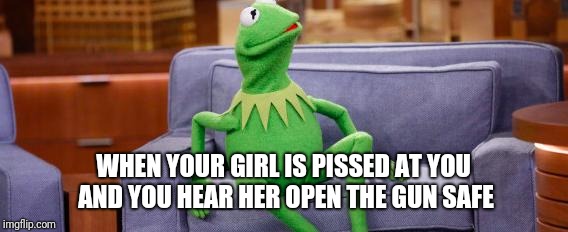 kermit couch | WHEN YOUR GIRL IS PISSED AT YOU AND YOU HEAR HER OPEN THE GUN SAFE | image tagged in kermit couch | made w/ Imgflip meme maker
