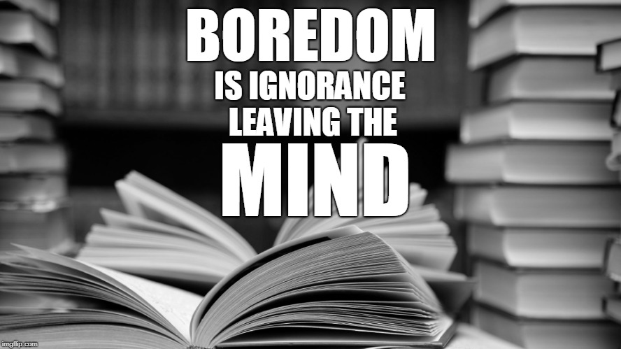 It's Okay to Be Bored | BOREDOM; IS IGNORANCE 
LEAVING THE; MIND | image tagged in boredom,books,education,mind,boring,intelligence | made w/ Imgflip meme maker
