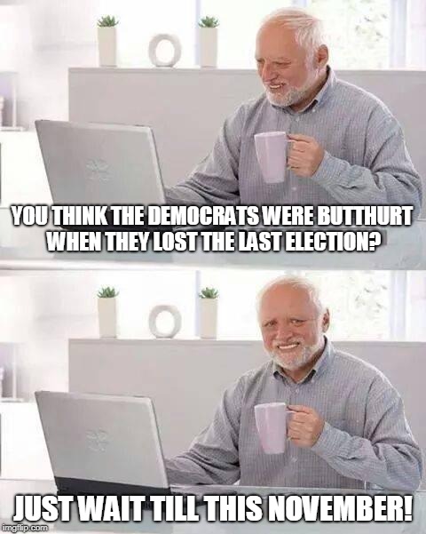 Hide the Pain Harold Meme | YOU THINK THE DEMOCRATS WERE BUTTHURT WHEN THEY LOST THE LAST ELECTION? JUST WAIT TILL THIS NOVEMBER! | image tagged in memes,hide the pain harold | made w/ Imgflip meme maker