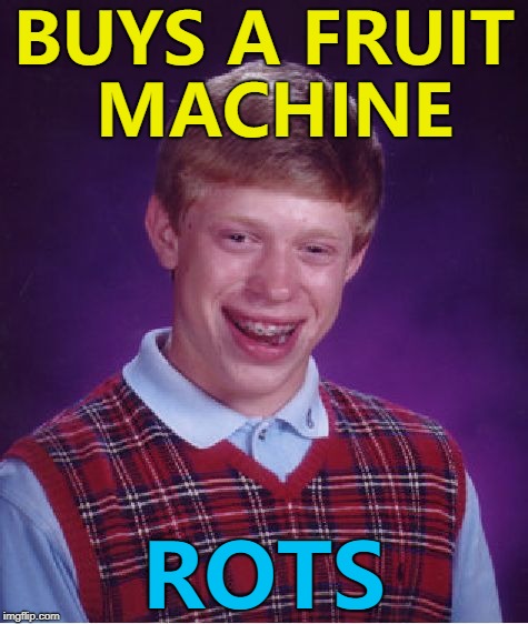 Then the wasps came... :) | BUYS A FRUIT MACHINE; ROTS | image tagged in memes,bad luck brian,fruit machine | made w/ Imgflip meme maker