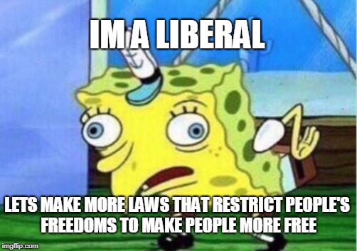 Mocking Spongebob Meme | IM A LIBERAL LETS MAKE MORE LAWS THAT RESTRICT PEOPLE'S FREEDOMS TO MAKE PEOPLE MORE FREE | image tagged in memes,mocking spongebob | made w/ Imgflip meme maker