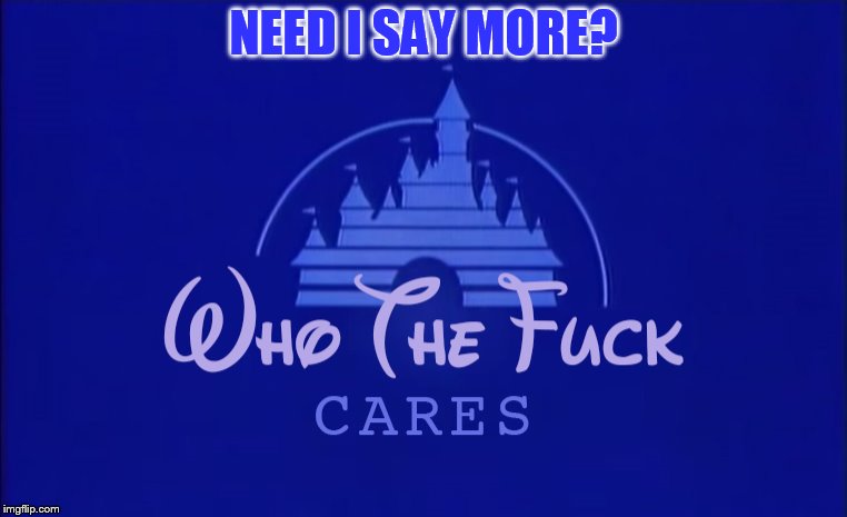 Disney Who Cares | NEED I SAY MORE? | image tagged in disney who cares | made w/ Imgflip meme maker