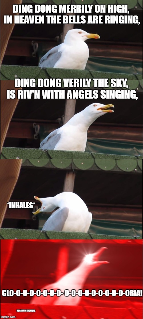 Inhaling Seagull Meme | DING DONG MERRILY ON HIGH, IN HEAVEN THE BELLS ARE RINGING, DING DONG VERILY THE SKY, IS RIV'N WITH ANGELS SINGING, *INHALES*; GLO-O-O-O-O-O-O-O-
O-O-O-O-O-O-O-O-O-ORIA! HOSANA IN EXCELSIS. | image tagged in memes,inhaling seagull | made w/ Imgflip meme maker
