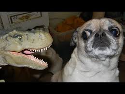 Dinosaur & dog Blank Meme Template
