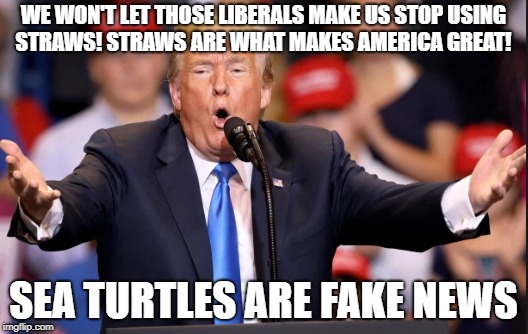 WE WON'T LET THOSE LIBERALS MAKE US STOP USING STRAWS! STRAWS ARE WHAT MAKES AMERICA GREAT! SEA TURTLES ARE FAKE NEWS | image tagged in trump,straws,plastic,trump fake news | made w/ Imgflip meme maker
