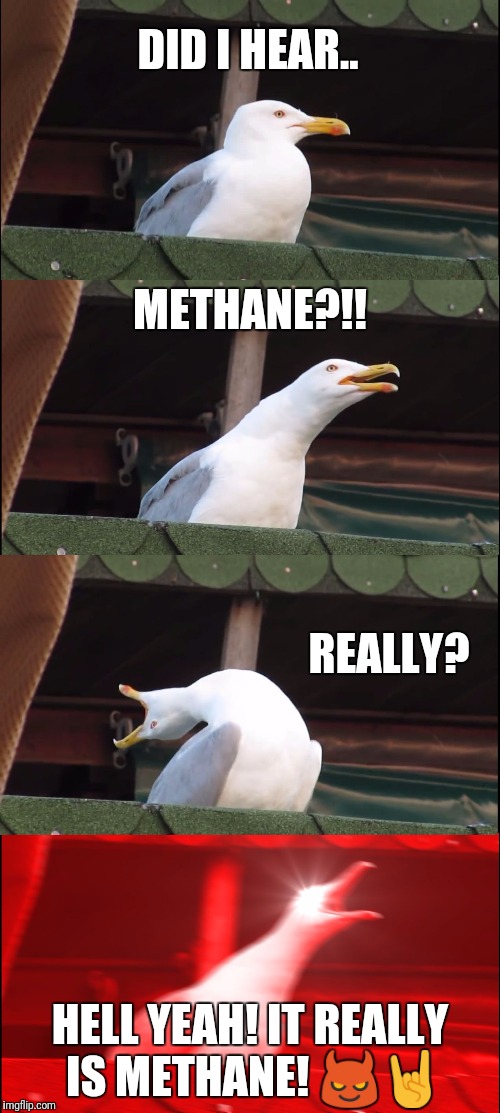 Inhaling Seagull | DID I HEAR.. METHANE?!! REALLY? HELL YEAH! IT REALLY IS METHANE! 😈🤘 | image tagged in memes,inhaling seagull | made w/ Imgflip meme maker