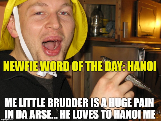 Newfie word of day | NEWFIE WORD OF THE DAY: HANOI; ME LITTLE BRUDDER IS A HUGE PAIN IN DA ARSE...
HE LOVES TO HANOI ME | image tagged in newfie word of day | made w/ Imgflip meme maker