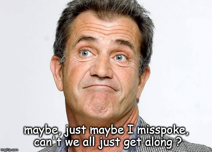 mel gibson, tolerance,hollywood makes you crazy. | maybe, just maybe I misspoke, can't we all just get along ? | image tagged in mel gibson,not a hypocrite,boycott hollywood | made w/ Imgflip meme maker