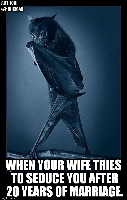 AUTHOR: @RINIXMAX; WHEN YOUR WIFE TRIES TO SEDUCE YOU AFTER 20 YEARS OF MARRIAGE. | made w/ Imgflip meme maker