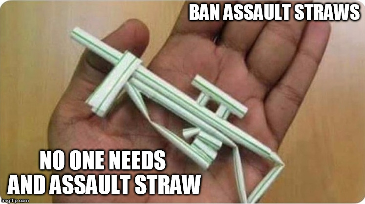 Straw gun purchase | BAN ASSAULT STRAWS; NO ONE NEEDS AND ASSAULT STRAW | image tagged in straw gun purchase | made w/ Imgflip meme maker
