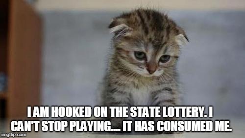 I hate myself. | I AM HOOKED ON THE STATE LOTTERY. I CAN'T STOP PLAYING.... IT HAS CONSUMED ME. | image tagged in sad kitten | made w/ Imgflip meme maker