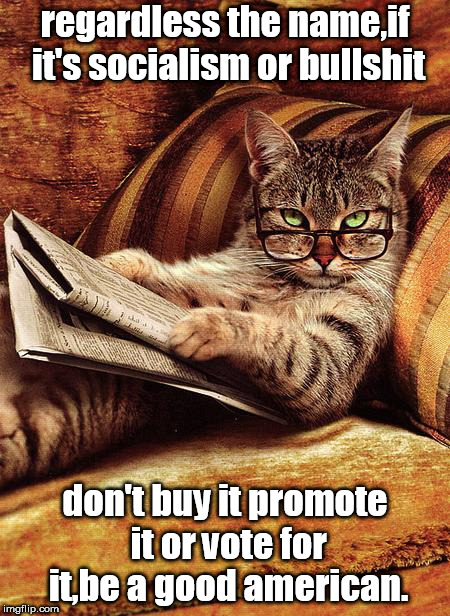 smart cat, don't buy socialism . | regardless the name,if it's socialism or bullshit; don't buy it promote it or vote for it,be a good american. | image tagged in cat reading,american values | made w/ Imgflip meme maker