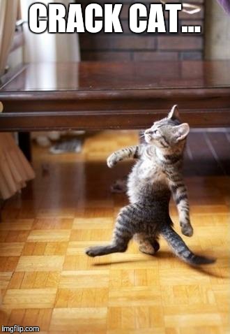 Cool Cat Stroll Meme | CRACK CAT... | image tagged in memes,cool cat stroll | made w/ Imgflip meme maker