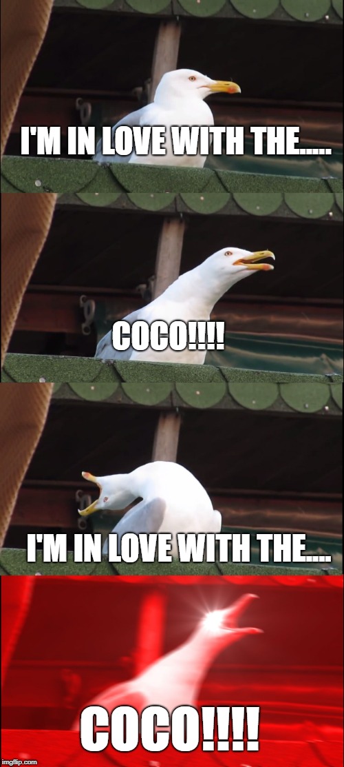 I remember this song, it was a banger back in the days........ | I'M IN LOVE WITH THE..... COCO!!!! I'M IN LOVE WITH THE.... COCO!!!! | image tagged in memes,inhaling seagull | made w/ Imgflip meme maker
