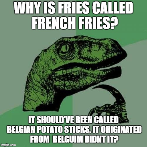 Philosoraptor Meme | WHY IS FRIES CALLED FRENCH FRIES? IT SHOULD'VE BEEN CALLED BELGIAN POTATO STICKS. IT ORIGINATED FROM  BELGUIM DIDNT IT? | image tagged in memes,philosoraptor | made w/ Imgflip meme maker