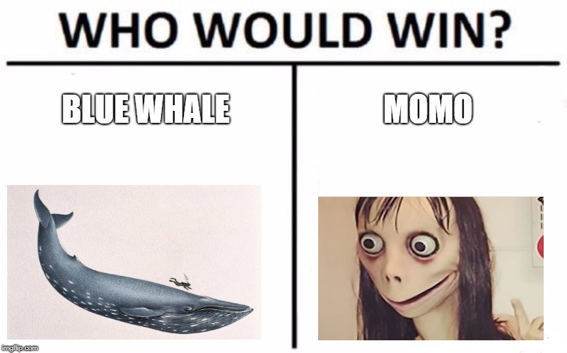 Who Would Win? | BLUE WHALE; MOMO | image tagged in memes,who would win | made w/ Imgflip meme maker