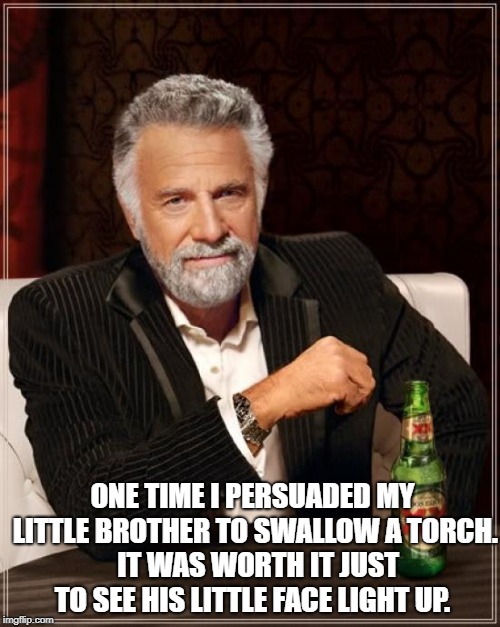 The Most Interesting Man In The World Meme | ONE TIME I PERSUADED MY LITTLE BROTHER TO SWALLOW A TORCH. 
IT WAS WORTH IT JUST TO SEE HIS LITTLE FACE LIGHT UP. | image tagged in memes,the most interesting man in the world | made w/ Imgflip meme maker