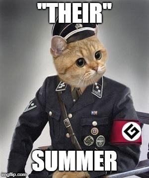 Grammar Nazi Cat | "THEIR" SUMMER | image tagged in grammar nazi cat | made w/ Imgflip meme maker