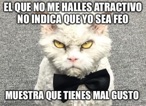 EL QUE NO ME HALLES ATRACTIVO NO INDICA QUE YO SEA FEO; MUESTRA QUE TIENES MAL GUSTO | image tagged in gato malo | made w/ Imgflip meme maker