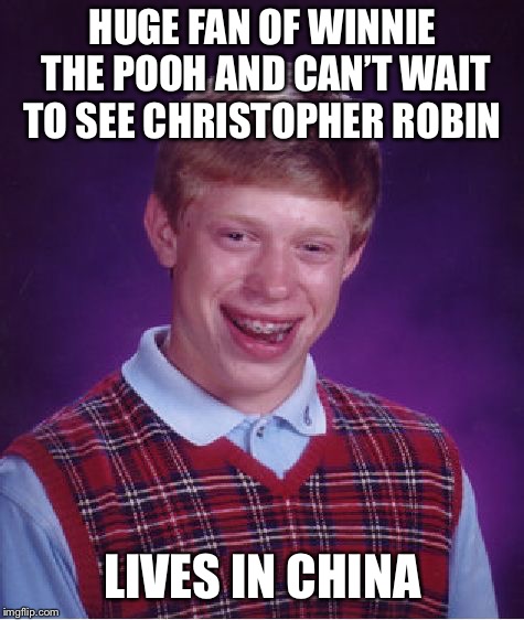 Bad Luck Brian Meme | HUGE FAN OF WINNIE THE POOH AND CAN’T WAIT TO SEE CHRISTOPHER ROBIN; LIVES IN CHINA | image tagged in memes,bad luck brian | made w/ Imgflip meme maker