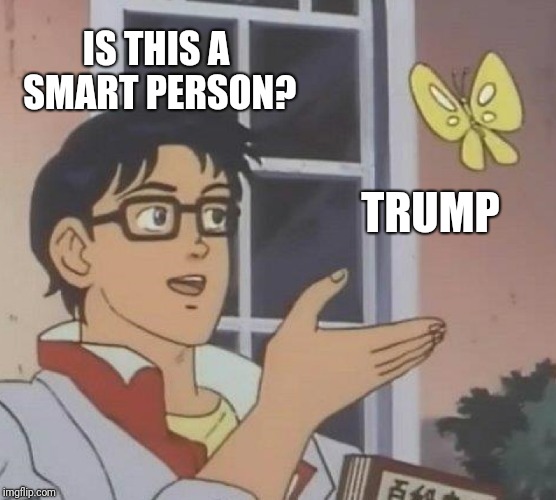 Is This A Pigeon Meme | IS THIS A SMART PERSON? TRUMP | image tagged in memes,is this a pigeon | made w/ Imgflip meme maker