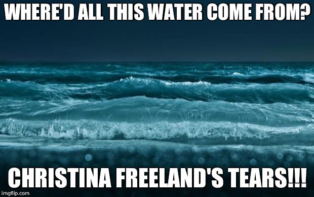Ocean Waves | WHERE'D ALL THIS WATER COME FROM? CHRISTINA FREELAND'S TEARS!!! | image tagged in ocean waves | made w/ Imgflip meme maker