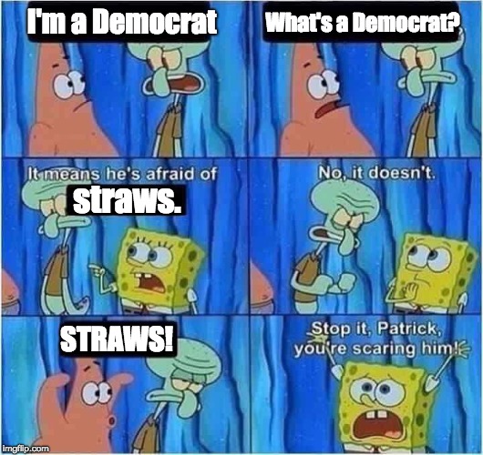 Scaring Squidward | What's a Democrat? I'm a Democrat; straws. STRAWS! | image tagged in scaring squidward | made w/ Imgflip meme maker