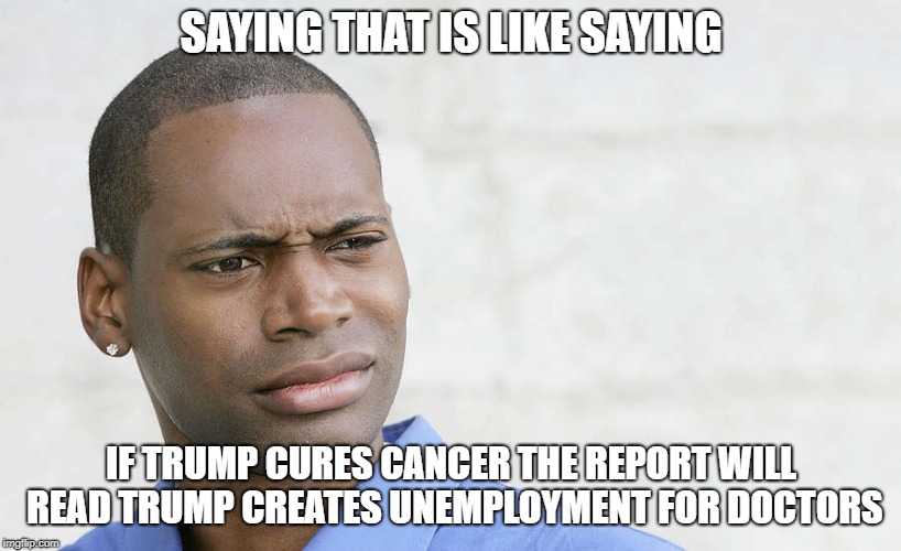 disbelief | SAYING THAT IS LIKE SAYING IF TRUMP CURES CANCER THE REPORT WILL READ TRUMP CREATES UNEMPLOYMENT FOR DOCTORS | image tagged in disbelief | made w/ Imgflip meme maker