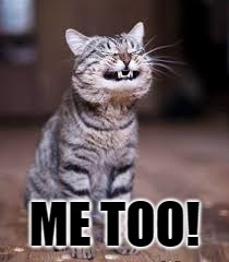 smiling cat | ME TOO! | image tagged in smiling cat | made w/ Imgflip meme maker