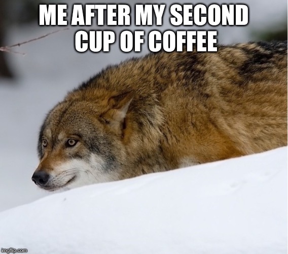 Coffee | ME AFTER MY SECOND CUP OF COFFEE | image tagged in coffee,coffee addict,funny memes | made w/ Imgflip meme maker