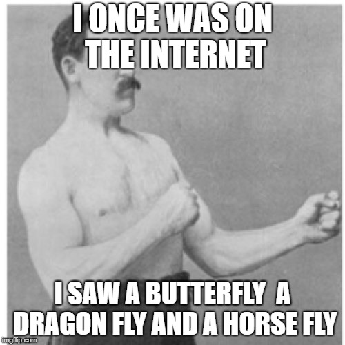 Overly Manly Man Meme | I ONCE WAS ON THE INTERNET; I SAW A BUTTERFLY  A DRAGON FLY AND A HORSE FLY | image tagged in memes,overly manly man | made w/ Imgflip meme maker