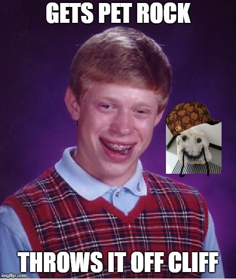 Bad Luck Brian Meme | GETS PET ROCK; THROWS IT OFF CLIFF | image tagged in memes,bad luck brian,scumbag | made w/ Imgflip meme maker