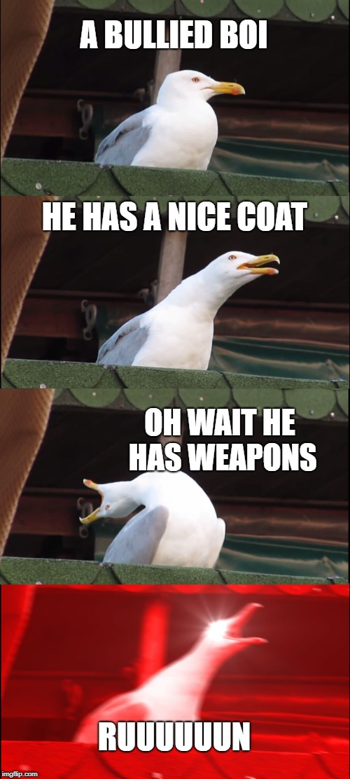 Shooter | A BULLIED BOI; HE HAS A NICE COAT; OH WAIT HE HAS WEAPONS; RUUUUUUN | image tagged in memes,inhaling seagull | made w/ Imgflip meme maker