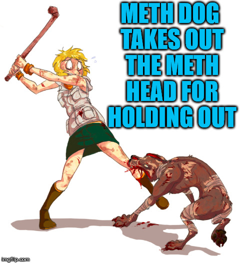 METH DOG TAKES OUT THE METH HEAD FOR HOLDING OUT | image tagged in dark humor | made w/ Imgflip meme maker