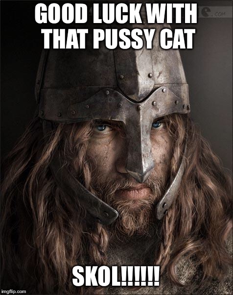 viking | GOOD LUCK WITH THAT PUSSY CAT SKOL!!!!!! | image tagged in viking | made w/ Imgflip meme maker