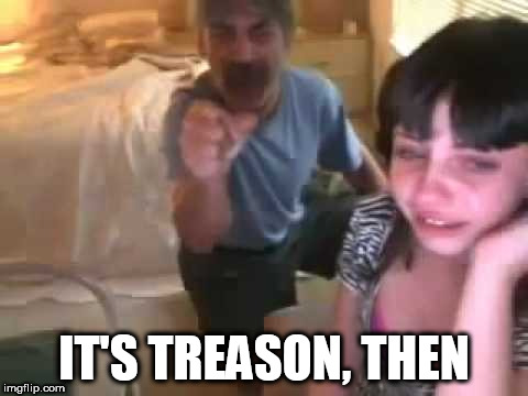 IT'S TREASON, THEN | image tagged in you done goofed | made w/ Imgflip meme maker