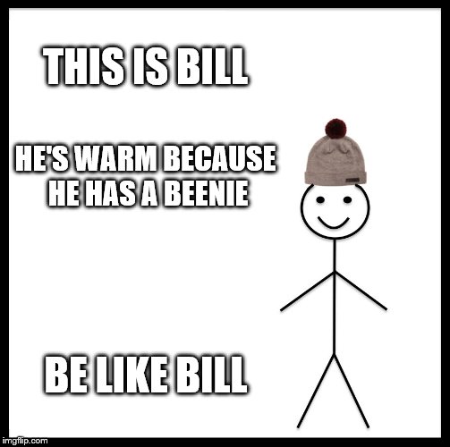 Be Like Bill Meme | THIS IS BILL; HE'S WARM BECAUSE HE HAS A BEENIE; BE LIKE BILL | image tagged in memes,be like bill | made w/ Imgflip meme maker