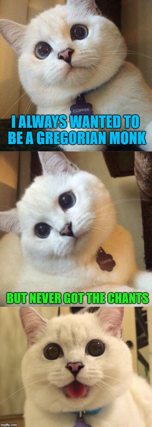 bad pun cat
 | I ALWAYS WANTED TO BE A GREGORIAN MONK; BUT NEVER GOT THE CHANTS | image tagged in bad pun cat,funny,memes | made w/ Imgflip meme maker