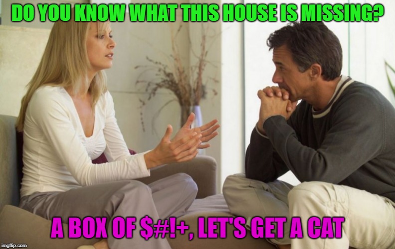 oh really... | DO YOU KNOW WHAT THIS HOUSE IS MISSING? A BOX OF $#!+, LET'S GET A CAT | image tagged in couple talking,memes,funny,cats | made w/ Imgflip meme maker