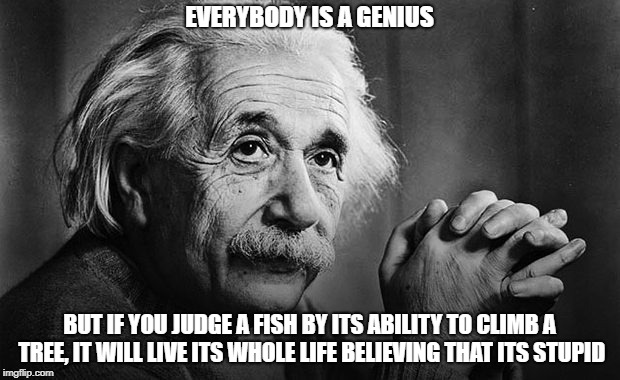 Albert Einstein | EVERYBODY IS A GENIUS; BUT IF YOU JUDGE A FISH BY ITS ABILITY TO CLIMB A TREE, IT WILL LIVE ITS WHOLE LIFE BELIEVING THAT ITS STUPID | image tagged in albert einstein | made w/ Imgflip meme maker