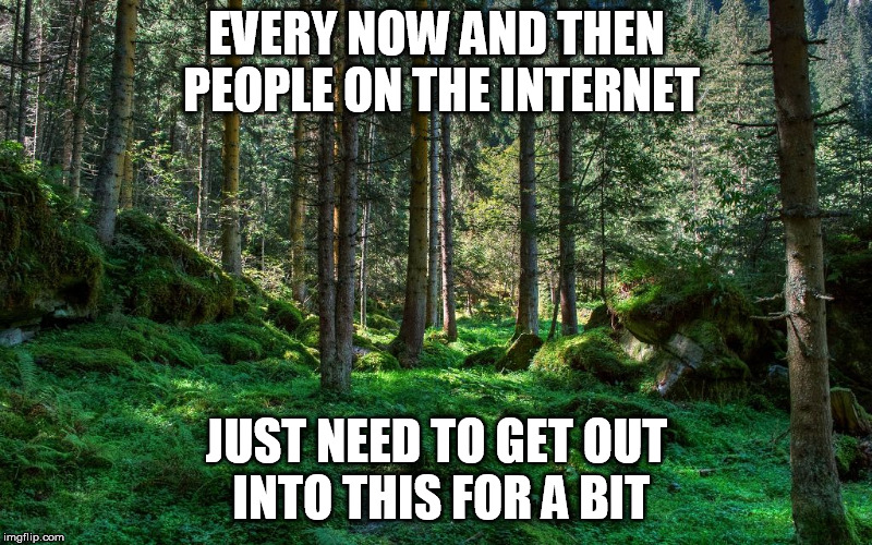 Trees, nature, forest, greenery, open spaces - everybody needs some restoration time | EVERY NOW AND THEN PEOPLE ON THE INTERNET JUST NEED TO GET OUT INTO THIS FOR A BIT | image tagged in forest,sanity,internet | made w/ Imgflip meme maker
