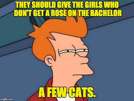 Futurama Fry Meme | THEY SHOULD GIVE THE GIRLS WHO DON'T GET A ROSE ON THE BACHELOR; A FEW CATS. | image tagged in memes,futurama fry | made w/ Imgflip meme maker
