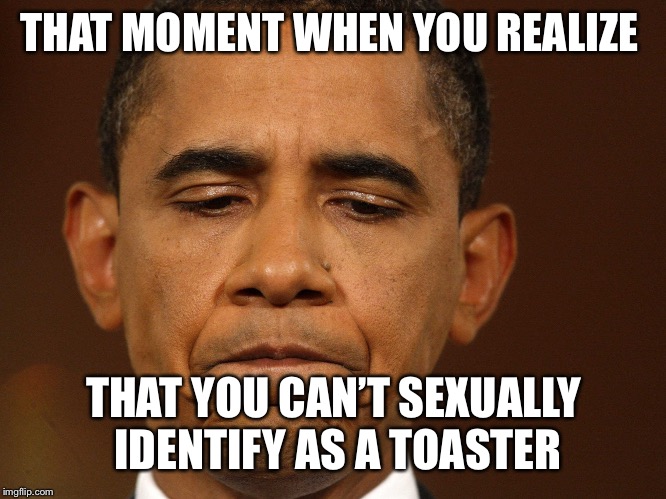 That moment when you realize that you have too much homework and | THAT MOMENT WHEN YOU REALIZE; THAT YOU CAN’T SEXUALLY IDENTIFY AS A TOASTER | image tagged in that moment when you realize that you have too much homework and | made w/ Imgflip meme maker