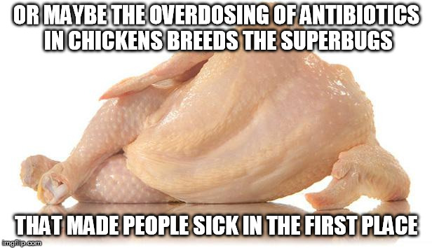 sexy chicken | OR MAYBE THE OVERDOSING OF ANTIBIOTICS IN CHICKENS BREEDS THE SUPERBUGS THAT MADE PEOPLE SICK IN THE FIRST PLACE | image tagged in sexy chicken | made w/ Imgflip meme maker