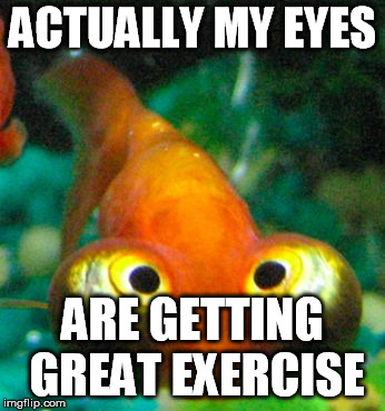 bug eye guppy | ACTUALLY MY EYES ARE GETTING GREAT EXERCISE | image tagged in bug eye guppy | made w/ Imgflip meme maker