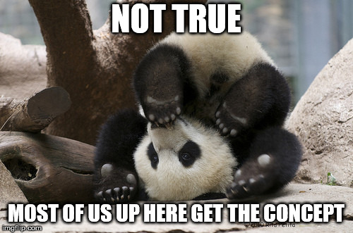 Upside down panda | NOT TRUE MOST OF US UP HERE GET THE CONCEPT | image tagged in upside down panda | made w/ Imgflip meme maker