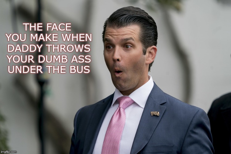 Jr | THE FACE YOU MAKE WHEN DADDY THROWS YOUR DUMB ASS UNDER THE BUS | image tagged in trump,traitor,fascist,nazi,greed,lies | made w/ Imgflip meme maker