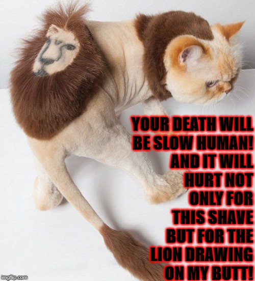 AND IT WILL HURT NOT ONLY FOR THIS SHAVE BUT FOR THE LION DRAWING ON MY BUTT! YOUR DEATH WILL BE SLOW HUMAN! | image tagged in slow death | made w/ Imgflip meme maker